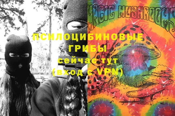 spice Алексин