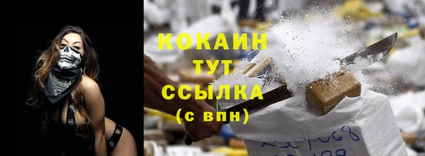 МДПВ Абаза
