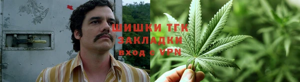 МДПВ Абаза
