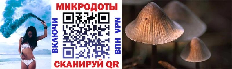Галлюциногенные грибы Psilocybe  мега зеркало  Дубна 