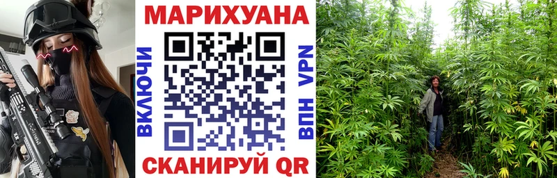 мориарти Telegram Дубна Каннабис тримм